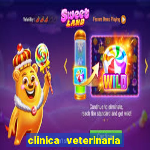 clinica veterinaria cuidar betim