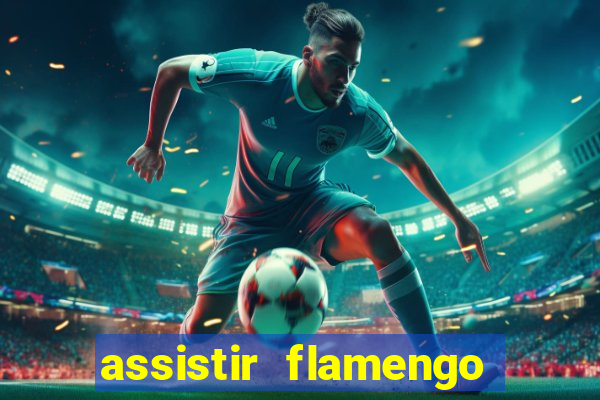 assistir flamengo play hd