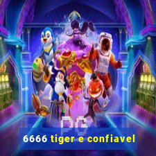 6666 tiger e confiavel