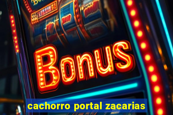 cachorro portal zacarias