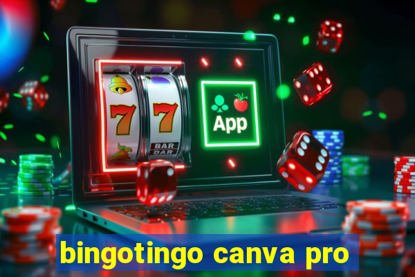 bingotingo canva pro