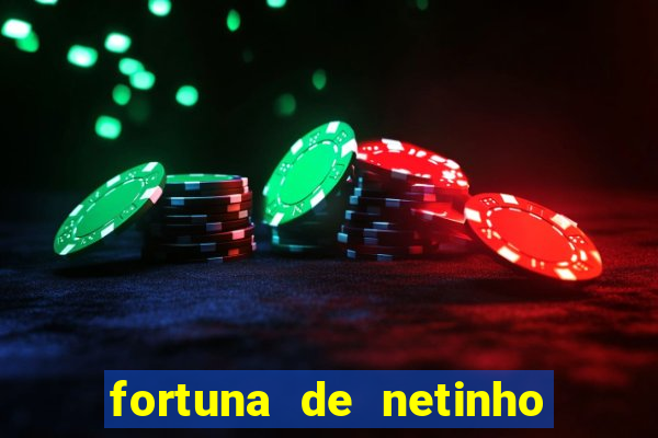 fortuna de netinho de paula