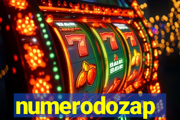 numerodozap