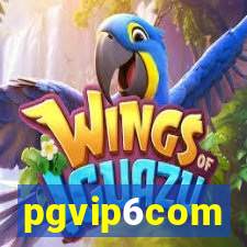 pgvip6com