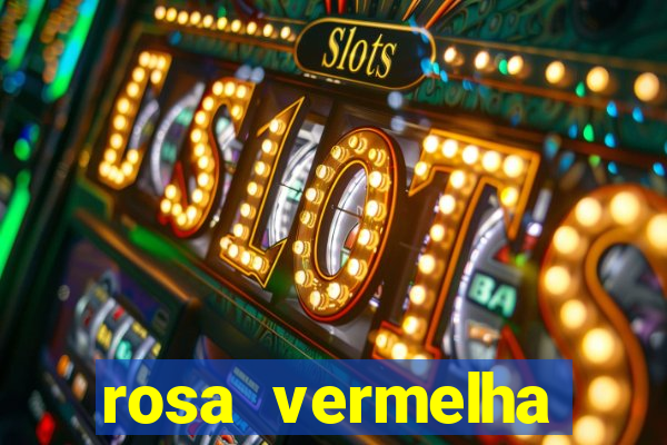 rosa vermelha (letra e cifra)