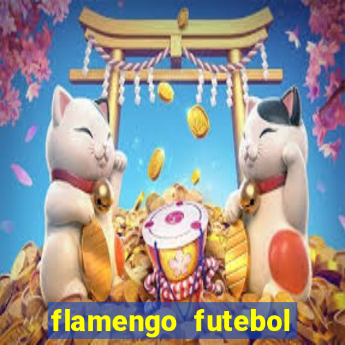 flamengo futebol play hd