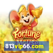 813vip66.com