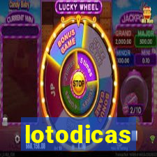 lotodicas