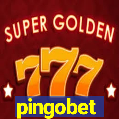 pingobet